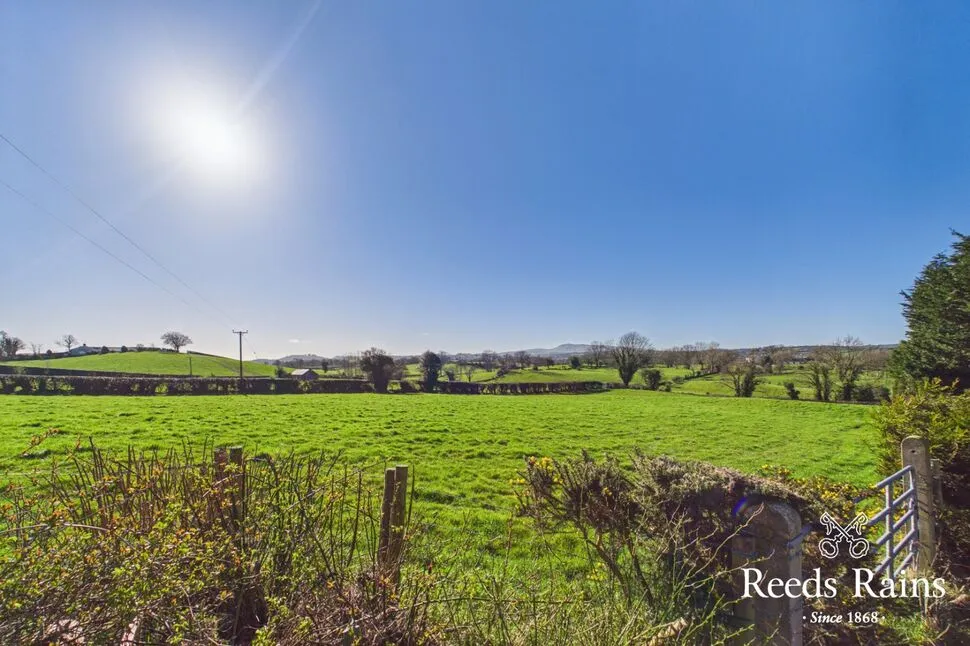 Magheraknock Road, Ballynahinch, BT24, photo 19