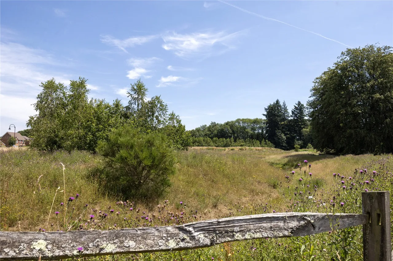 Tennyson Way, Grayshott, GU26, photo 23