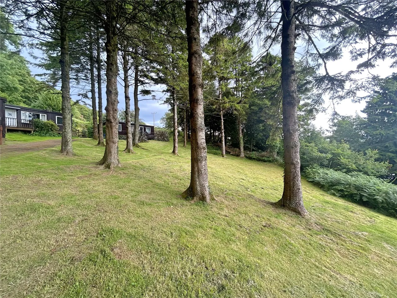 Aberdovey, Gwynedd, photo 11