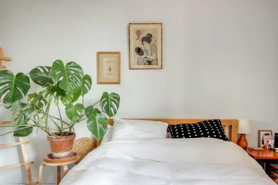 Wrens Park House, Hackney, E5, photo 11