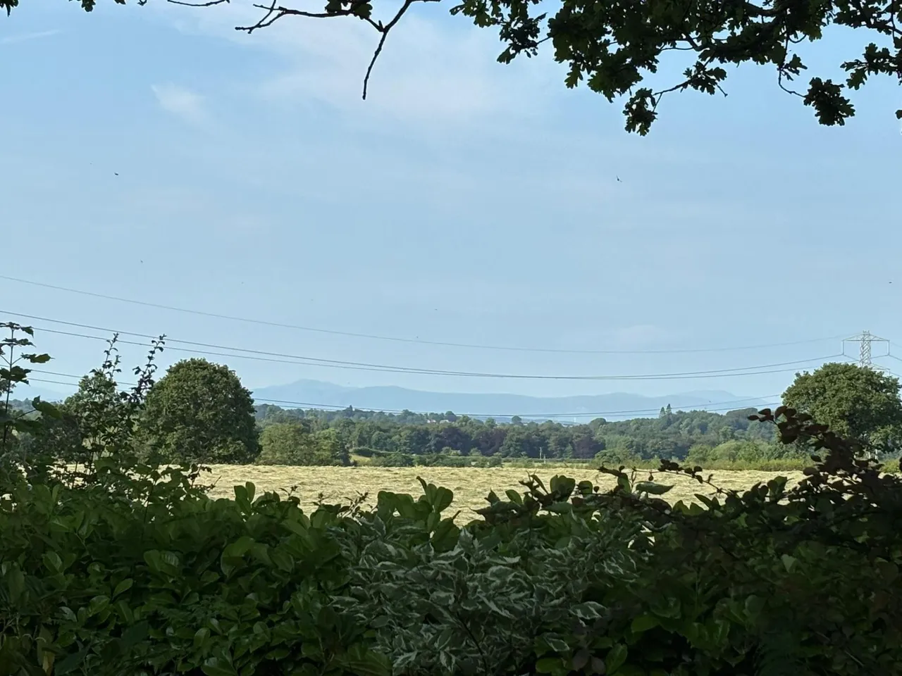 Newby East, Wetheral, CA4, photo 51