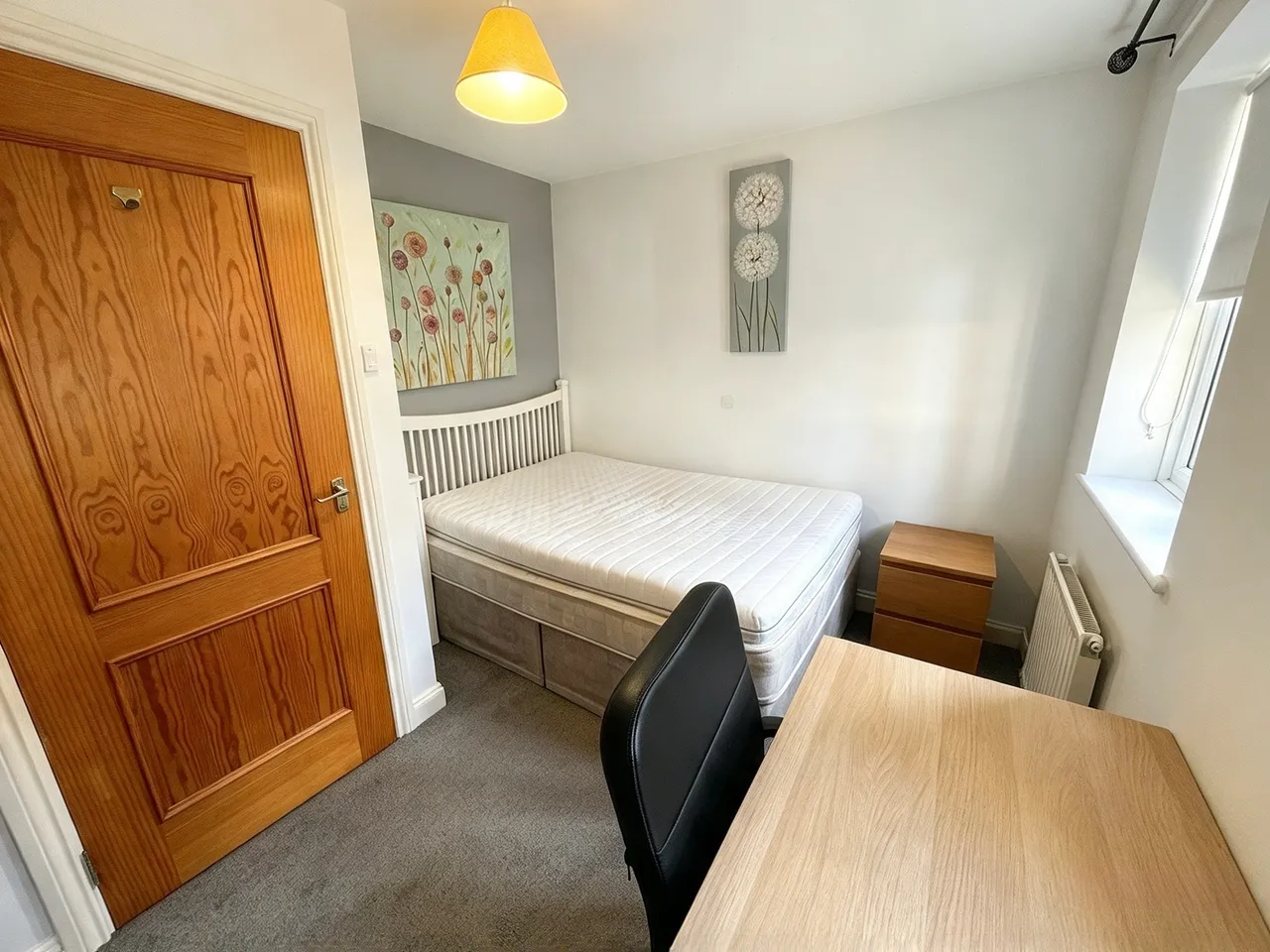 Friernhay Street, Exeter, photo 8