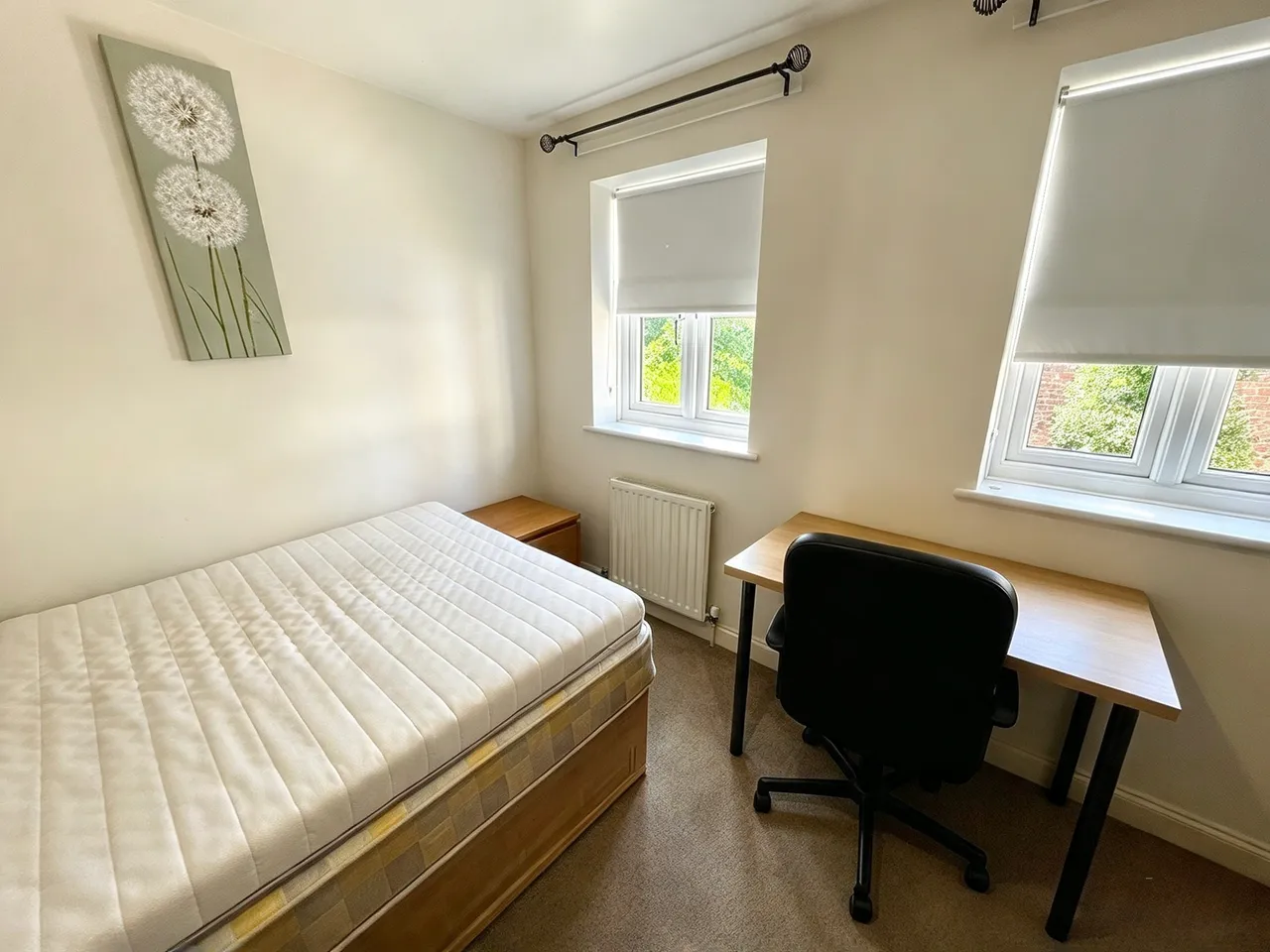 Friernhay Street, Exeter, photo 9