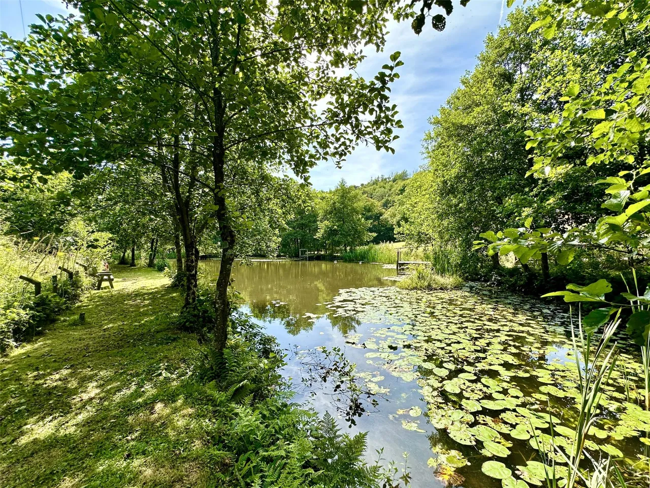 Seven Characterful Cottages & 4.5 Acres, West Down, photo 59