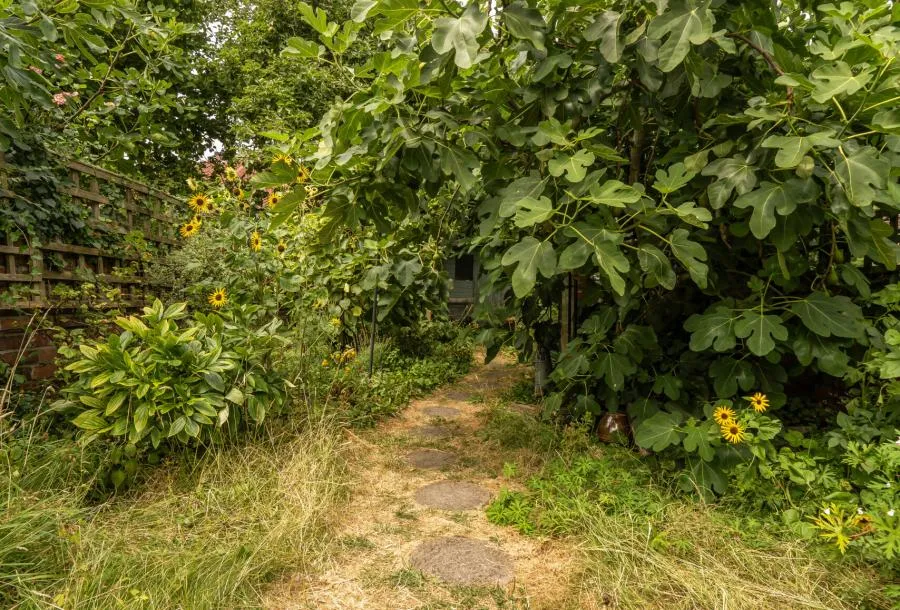 Brynland Avenue, Bristol, BS7, photo 16