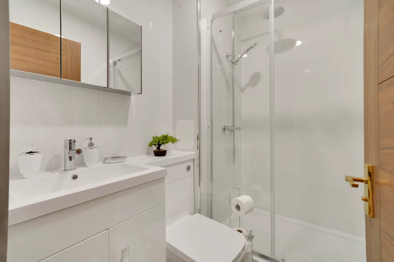 Cranbrook Road, Ilford, IG1, photo 14