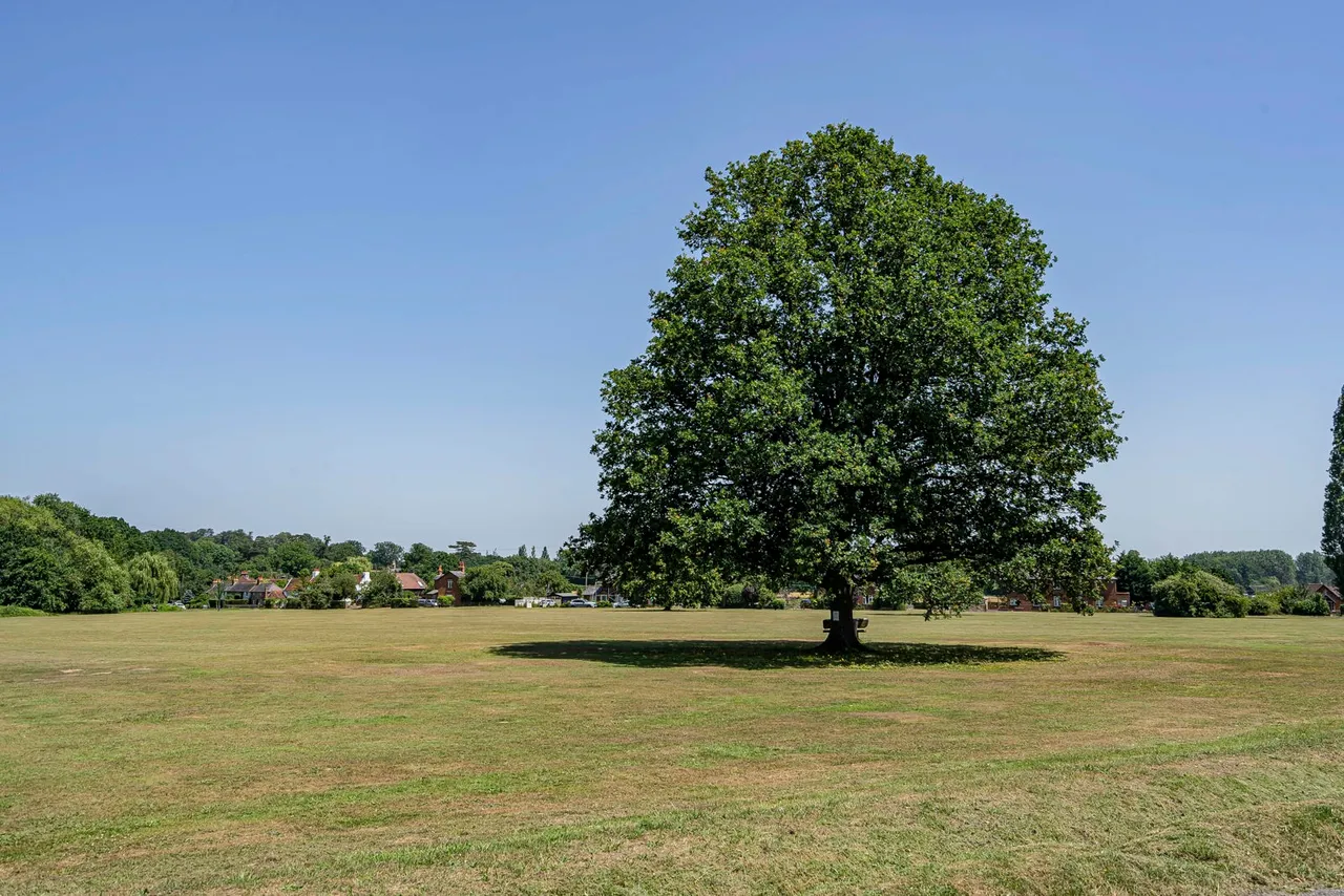 Downsview Close, Downside, KT11, photo 21