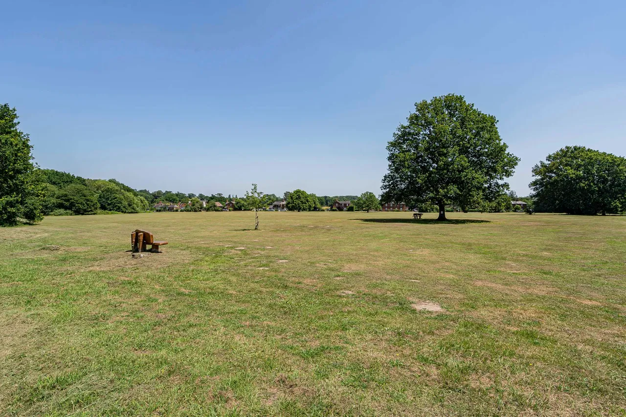 Downsview Close, Downside, KT11, photo 22