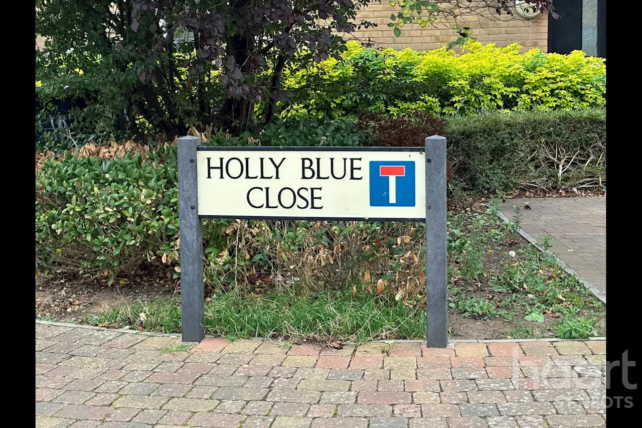 Holly Blue Close, Little Paxton, PE19, photo 2