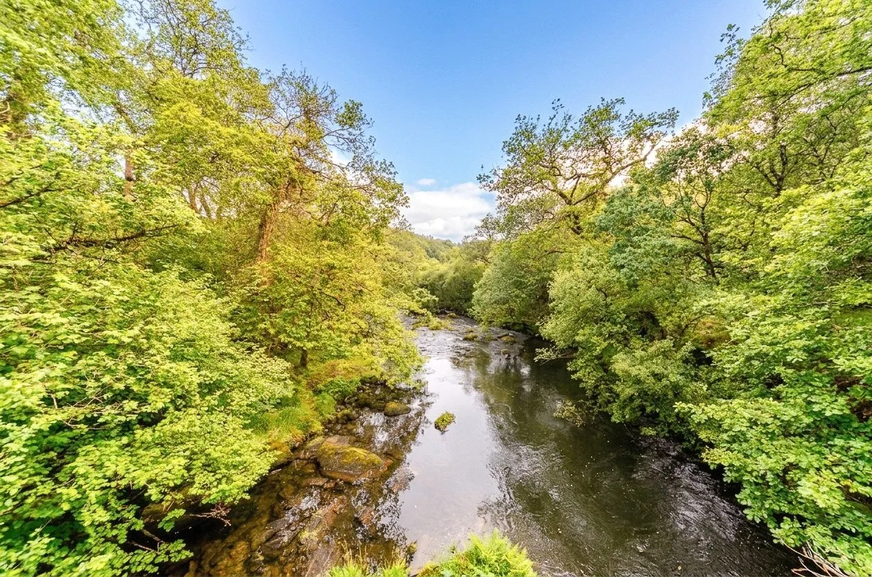 Blaenau Ffestiniog, LL41, photo 33