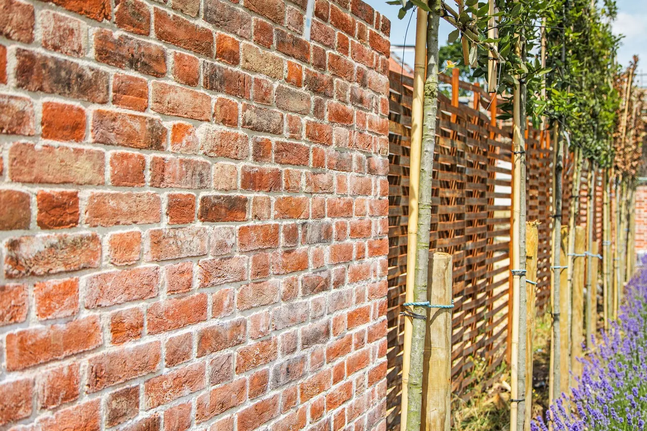 Alby, photo 15