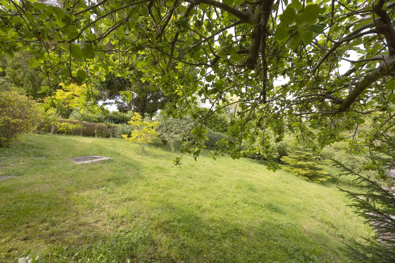 Rickbarton, West Lavington, SN10, photo 54