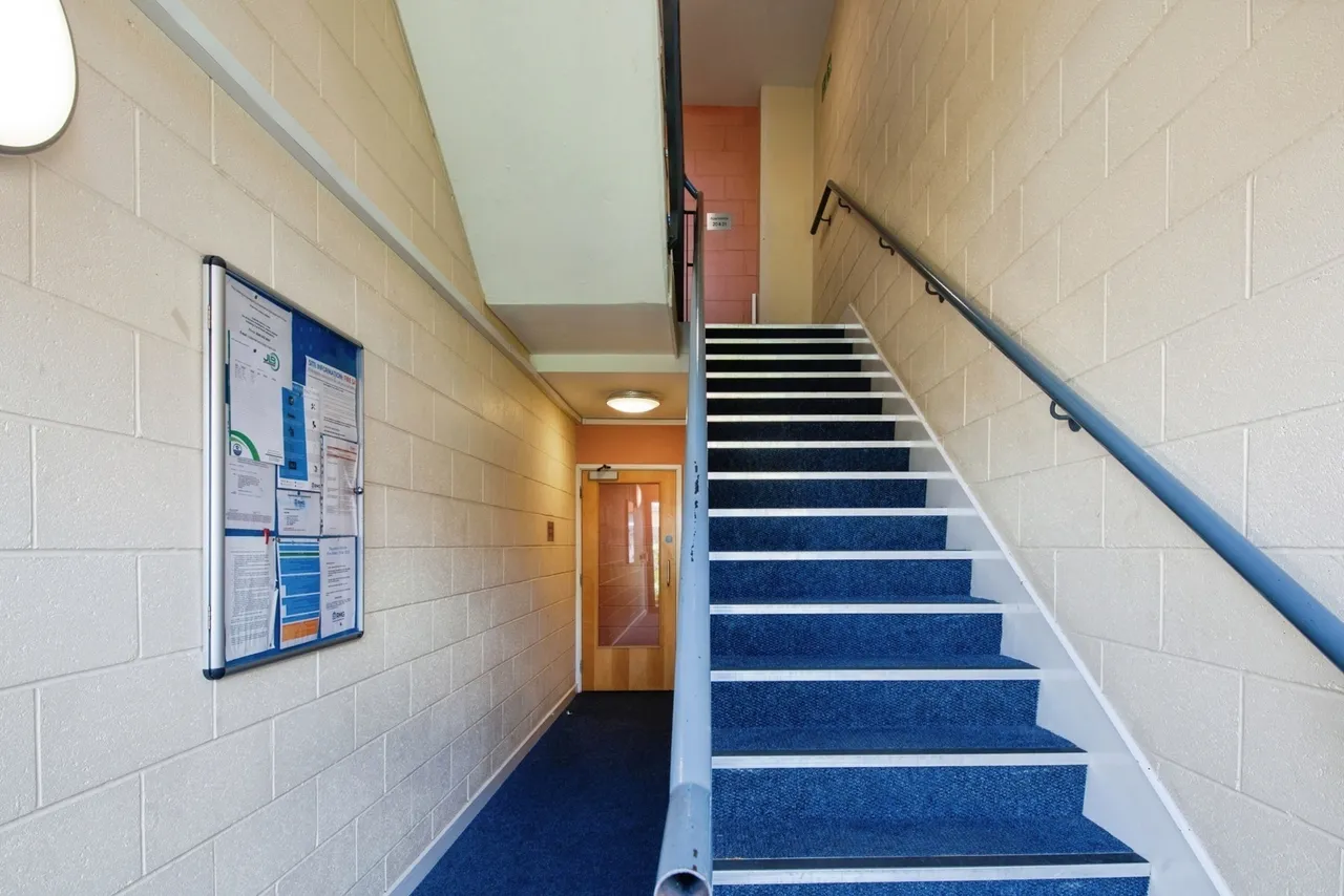 Adelaide Lane, Sheffield, South Yorkshire, S3, photo 5