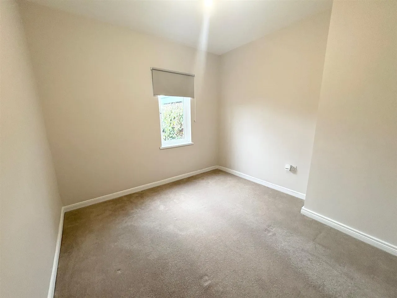Trevor Street, holywood, BT18, photo 10