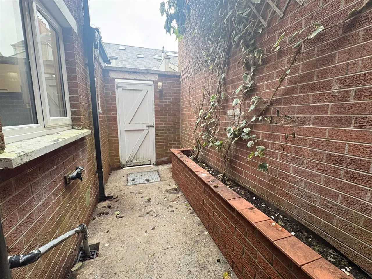 Trevor Street, holywood, BT18, photo 14