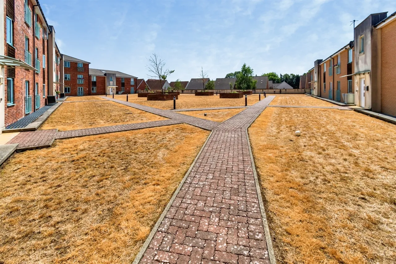 Conduct Gardens, Eastleigh, SO50, photo 11