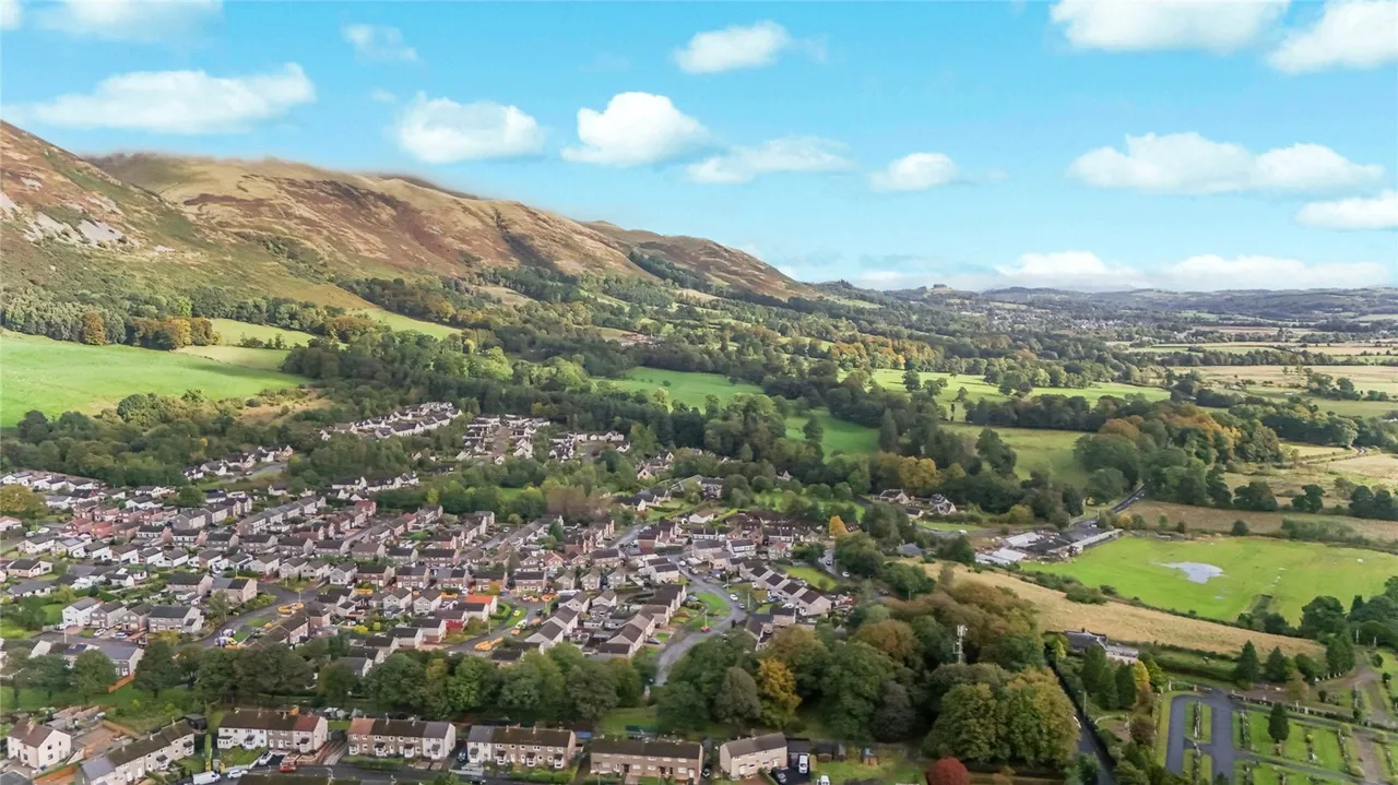 Harviestoun Grove, Tillicoultry, FK13, photo 25