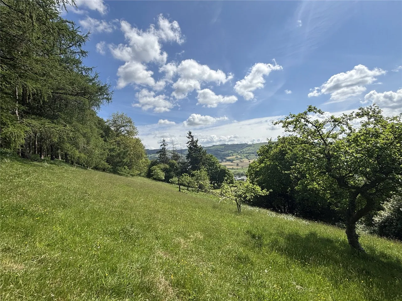 Rhallt, Trelydan, photo 37