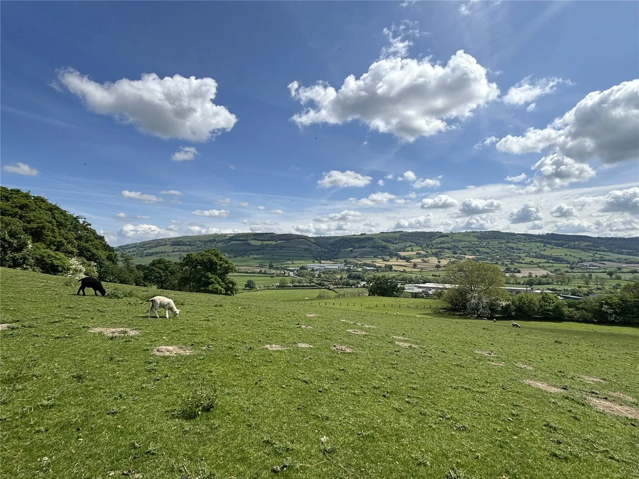 Rhallt, Trelydan, photo 38