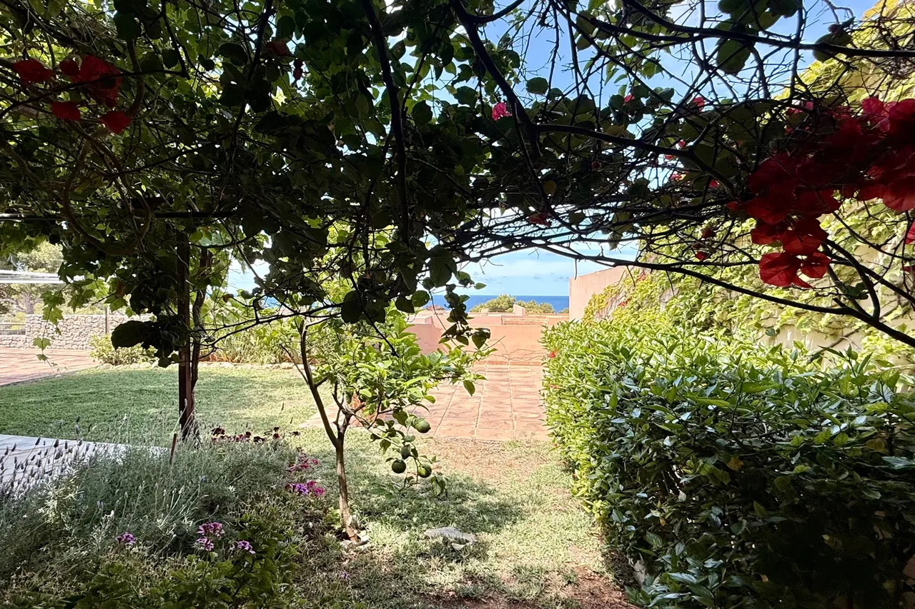 Cala Tarida, Ibiza, photo 7