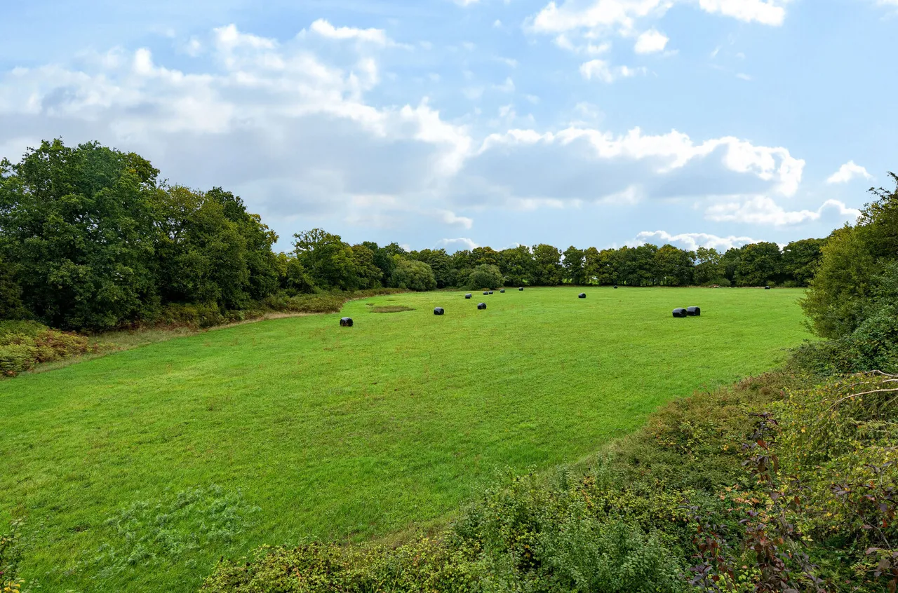 Salisbury Road, Plaitford, SO51, photo 15