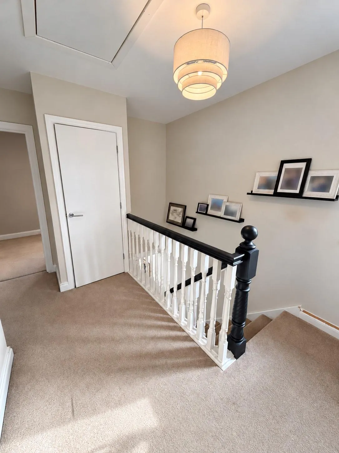 Mornington Gardens, Lisburn, BT28, photo 11