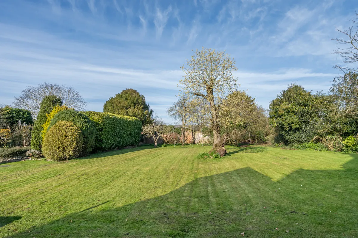 Cedar Road, Norwich, NR9, photo 30