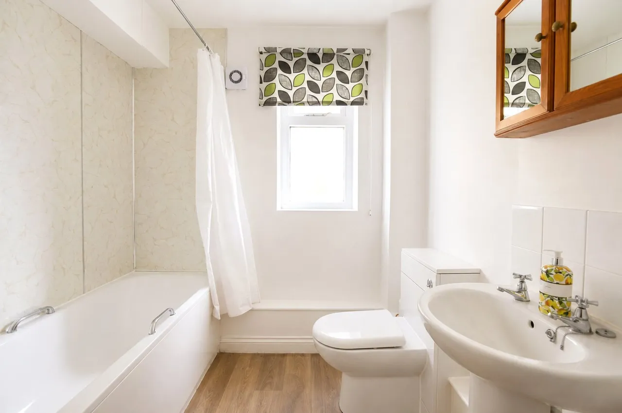 Ashgrove Road, Redland, BS6, photo 10