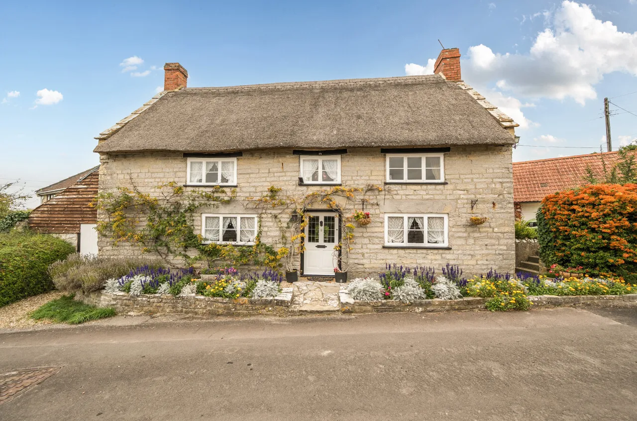 Back Street, Long Sutton, TA10, photo 12