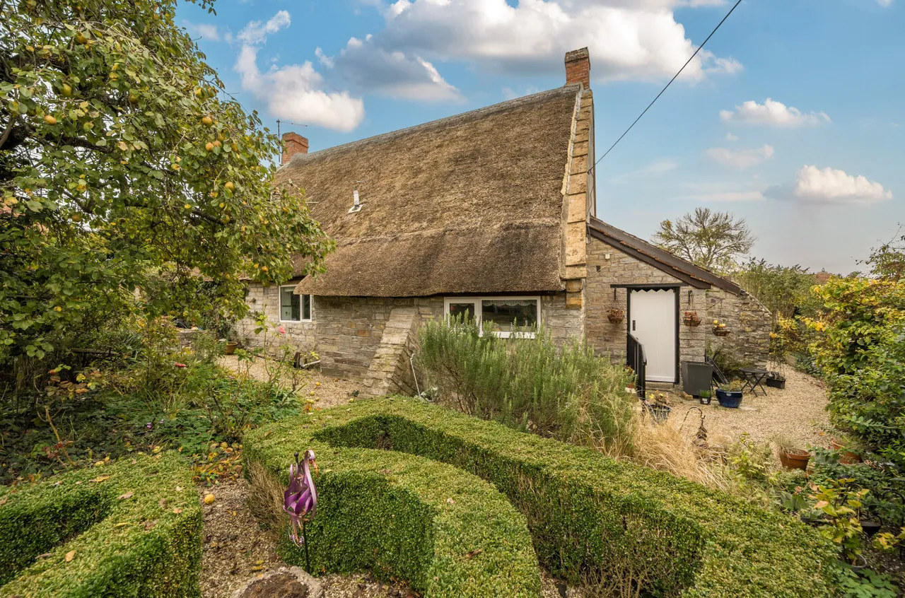 Back Street, Long Sutton, TA10, photo 11
