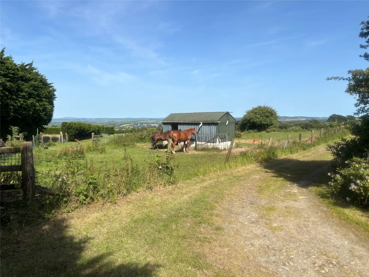 Edmonton, Wadebridge, PL27, photo 6