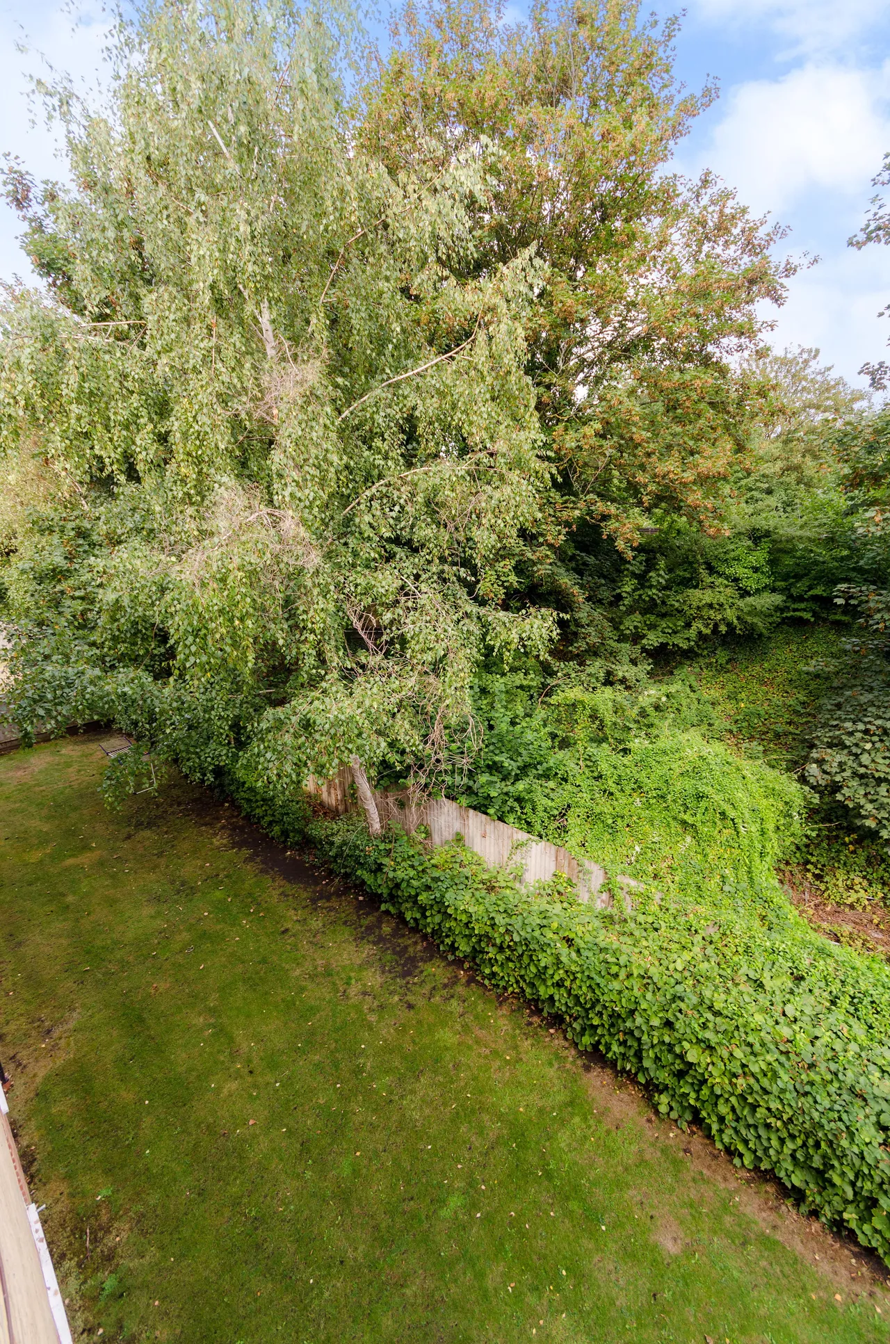 81 Woodfield Road, Thames Ditton, photo 11
