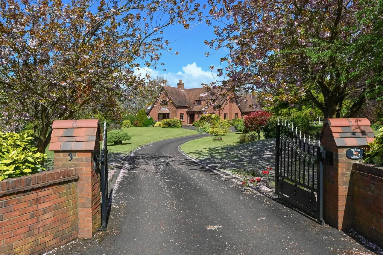 Upper Malone Road, Belfast, BT17, photo 2