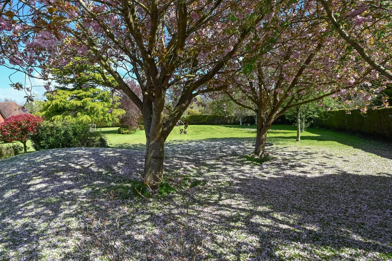 Upper Malone Road, Belfast, BT17, photo 19