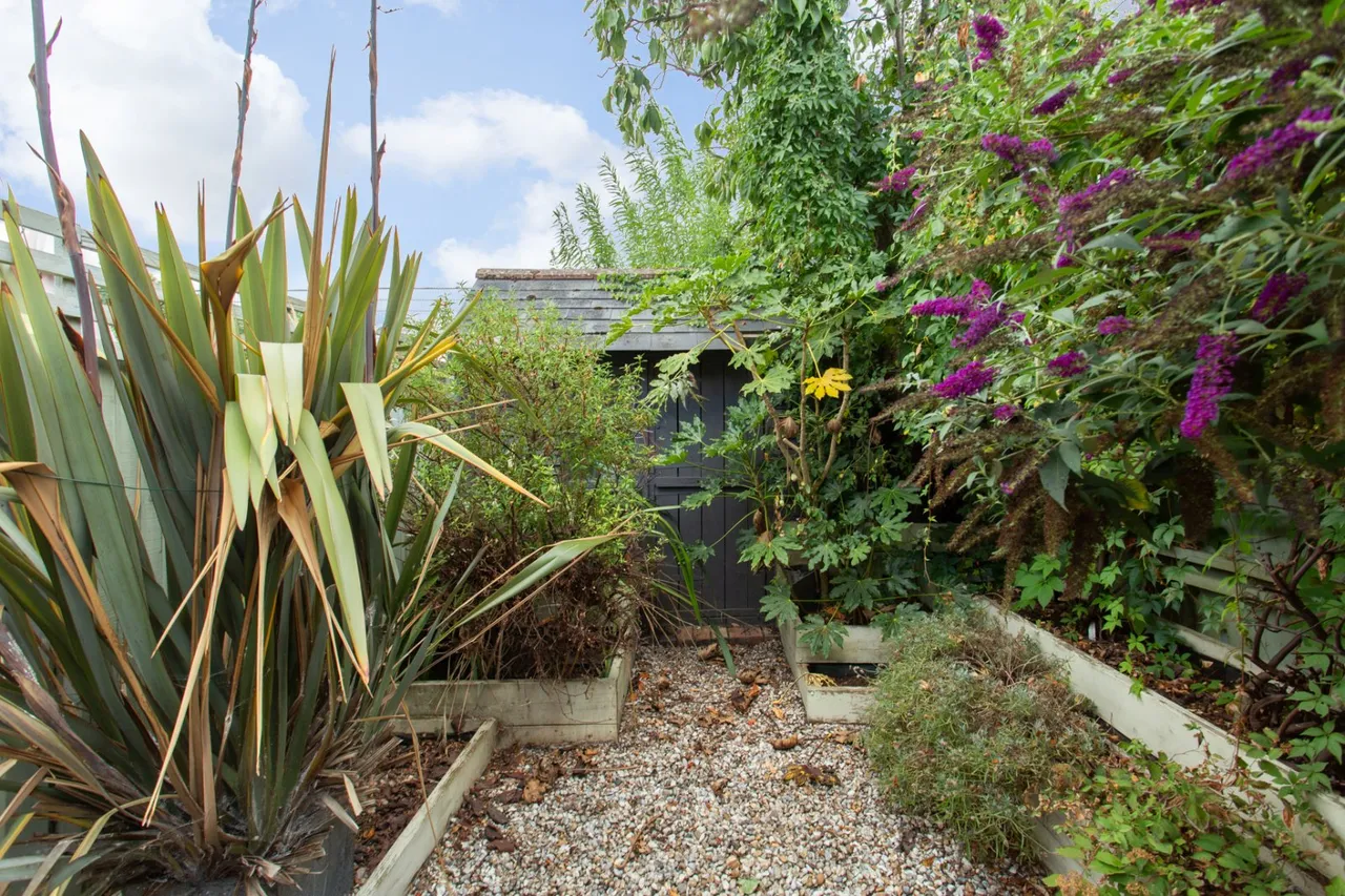 Argyle Road, Whitstable, CT5, photo 15
