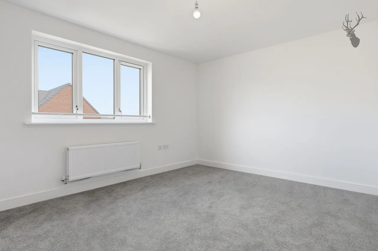 Bishop's Stortford, CM23, photo 14