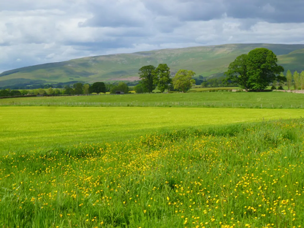 The Brook, Culgaith, photo 25