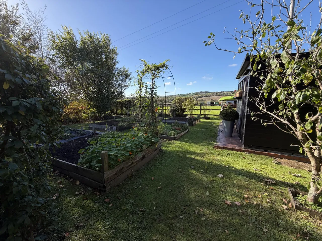 Rosevidney, Penzance, TR20, photo 26