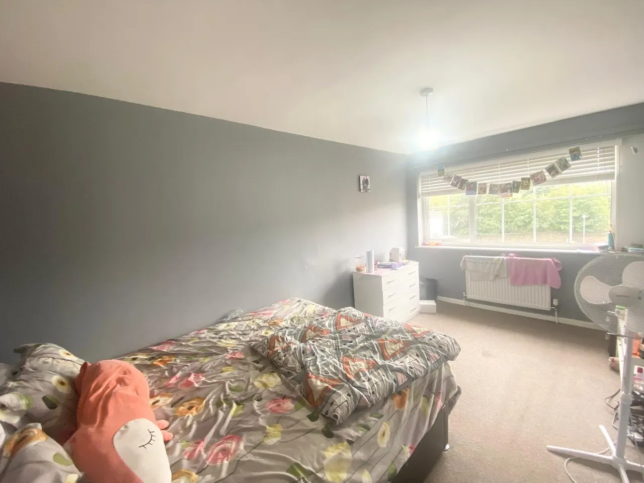 Cedar Close, Leeds, LS12, photo 4