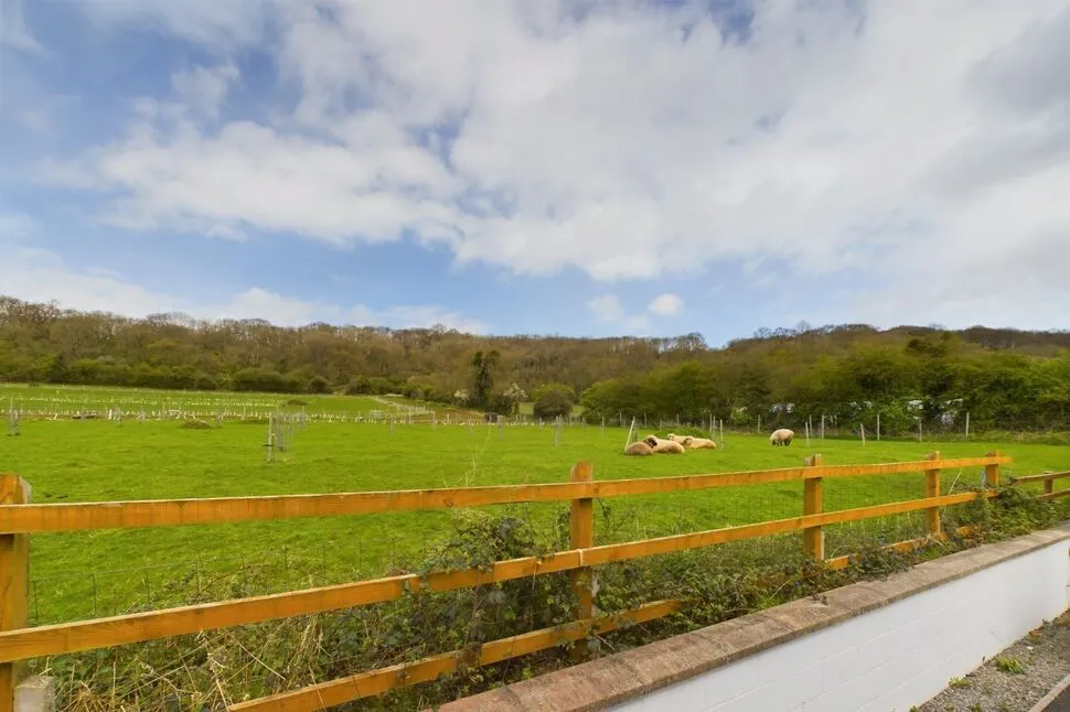Elmtree Avenue, Tickenham, BS21, photo 9