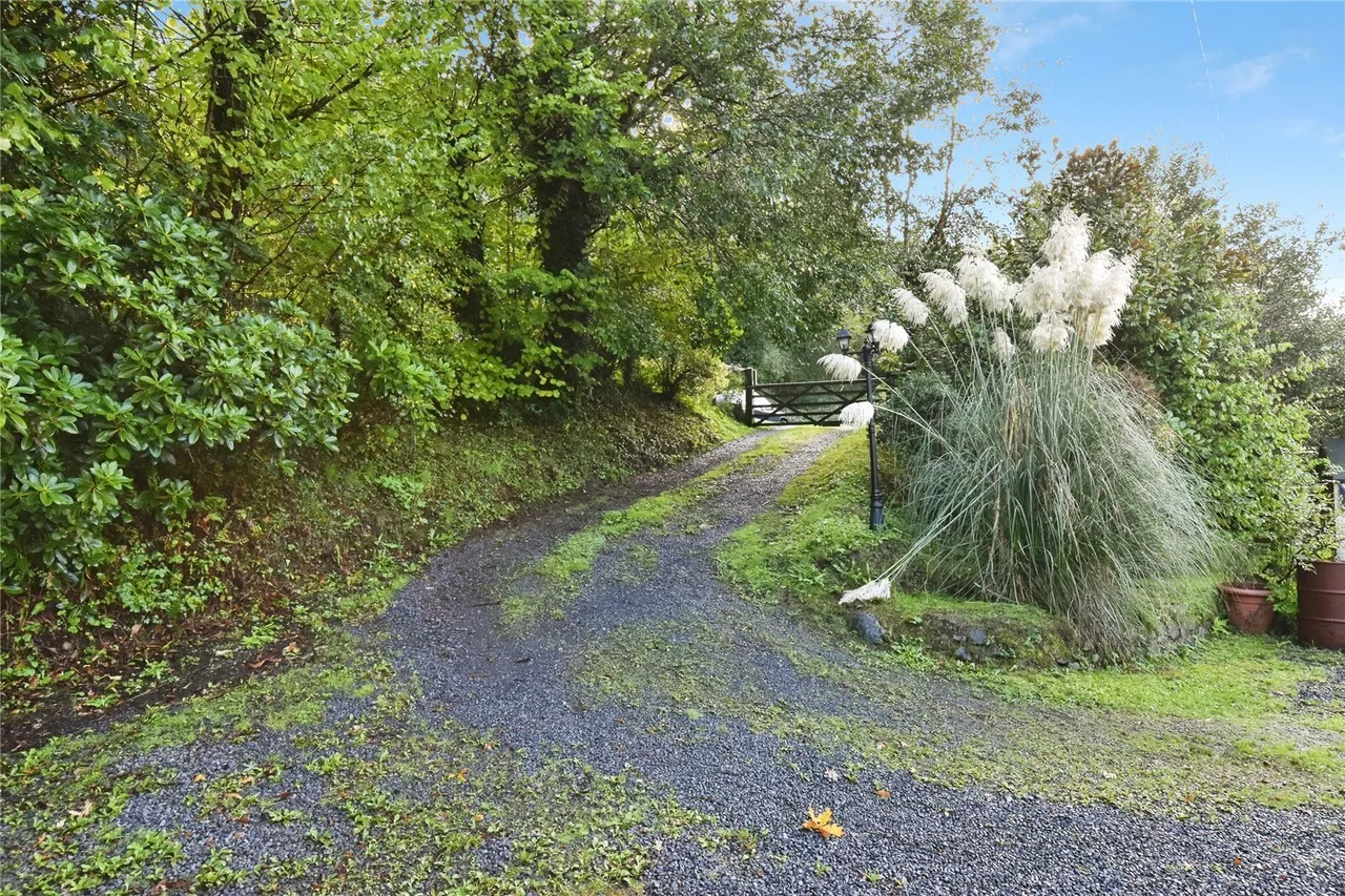 Ynys Tre Deg, Upper Cwmtwrch, SA9, photo 29