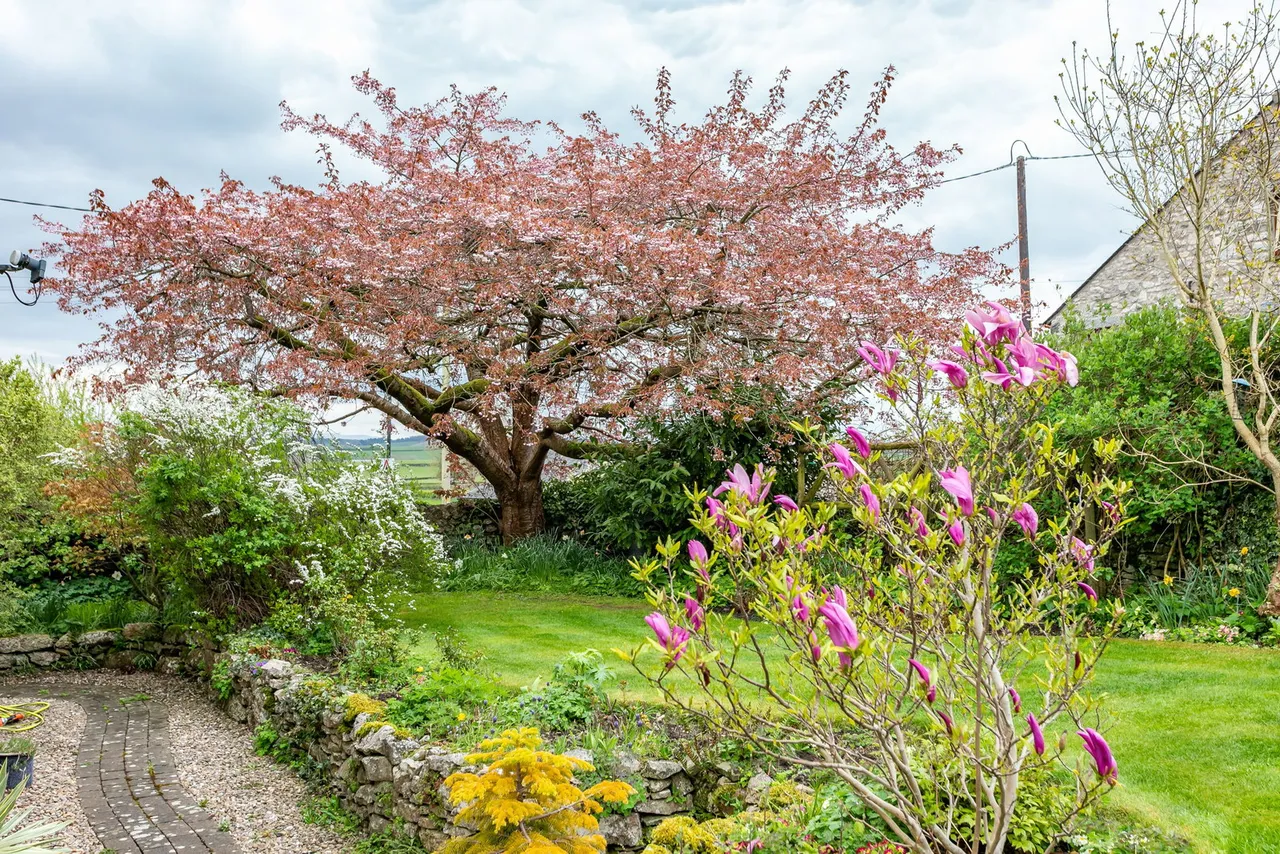 Silverdale Road, Yealand Redmayne, LA5, photo 26