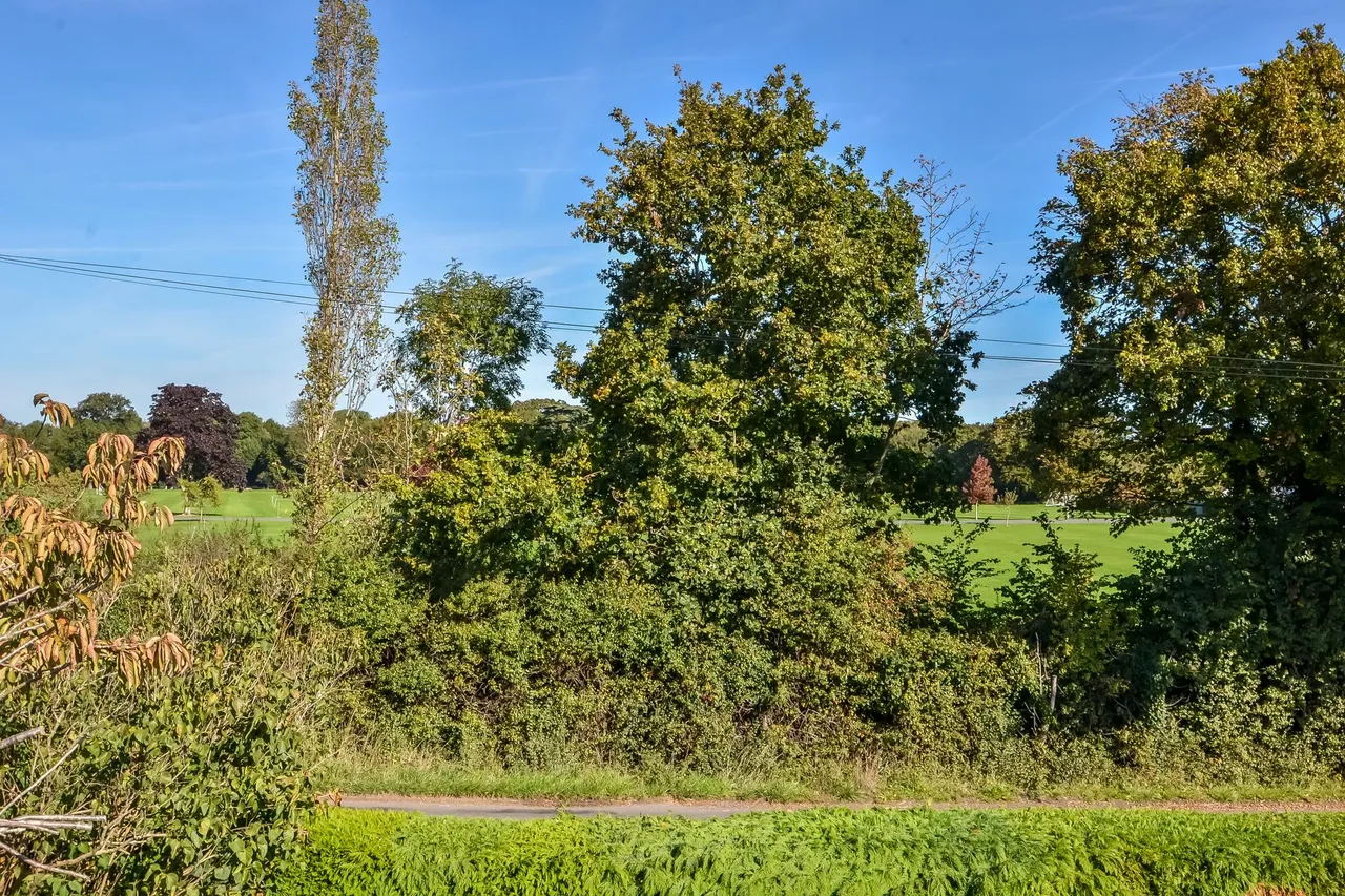 Titchfield, Hampshire, photo 17