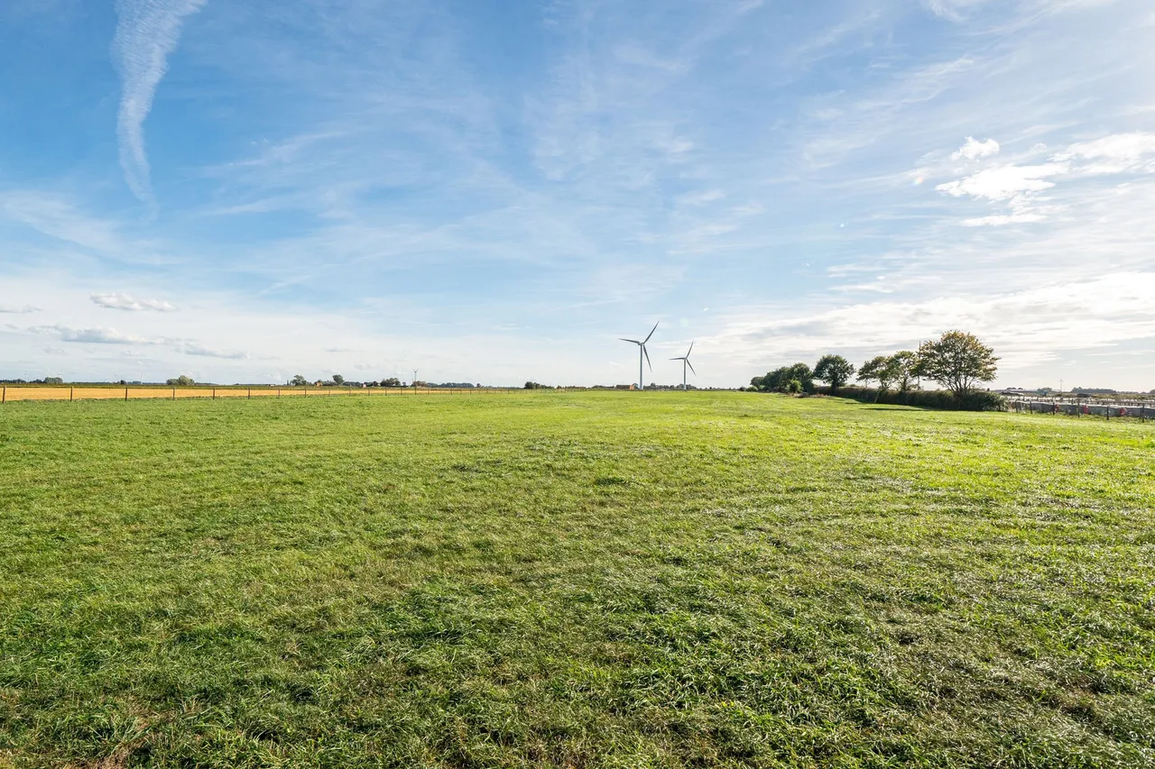 Quakers Drove, Whittlesey, PE7, photo 20