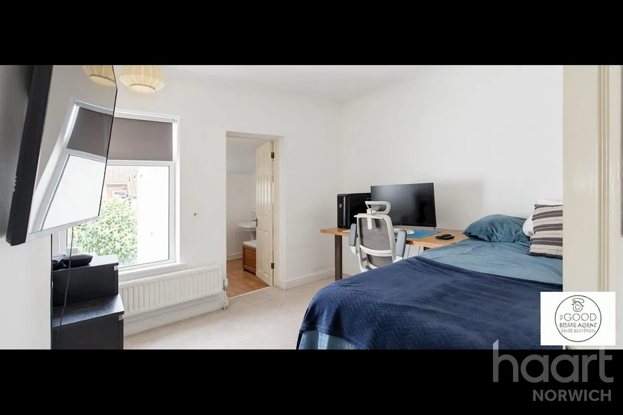 Nelson Street, Norwich, NR2, photo 11