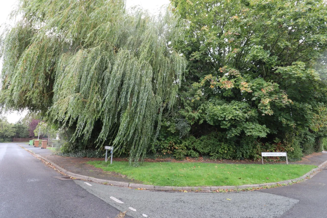 Dunbar Close, Holmes Chapel, photo 3