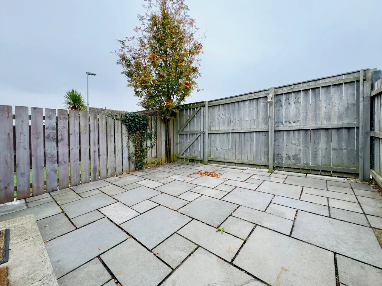 Whitelaw Place, Cramlington, NE23, photo 4
