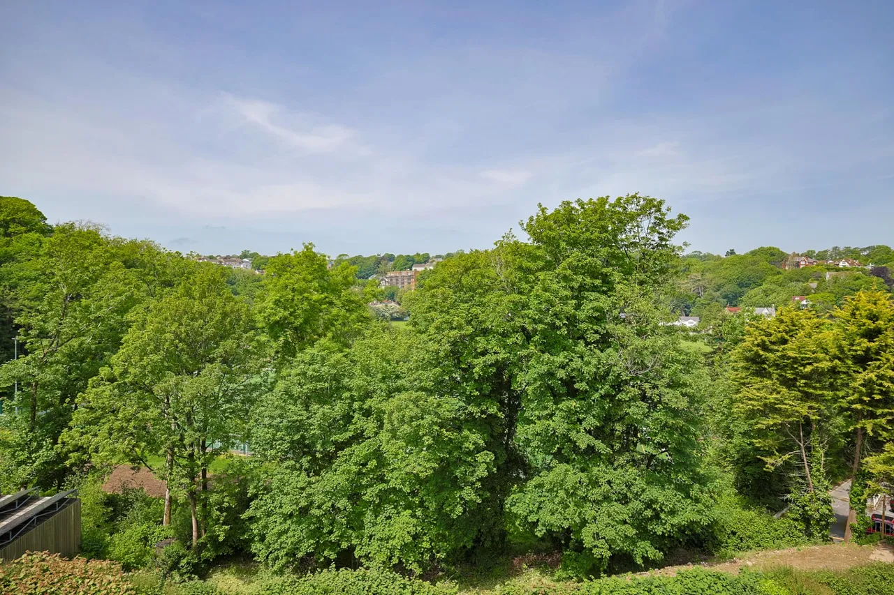 The Croft, Mumbles, photo 30