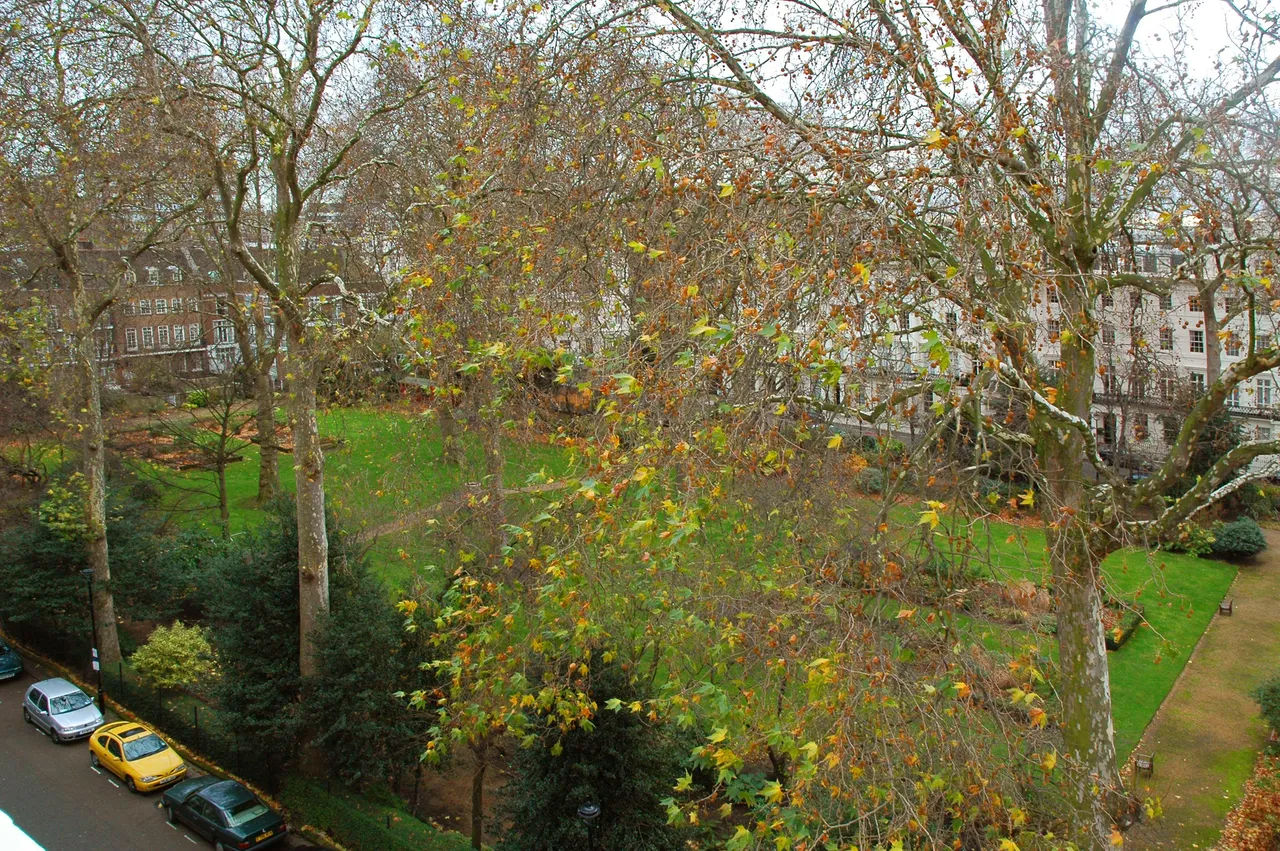 London, W2, photo 20