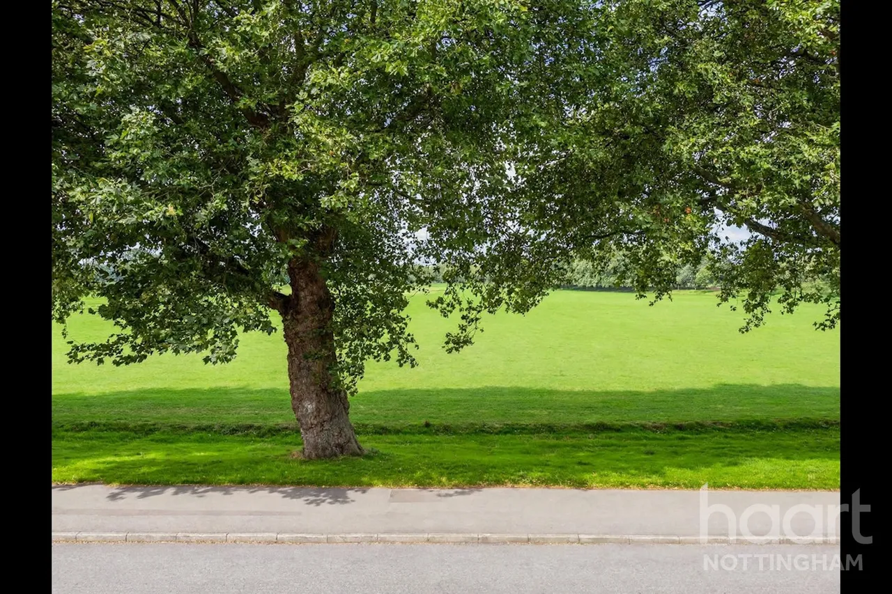 Bathley Street, The Meadows, NG2, photo 15